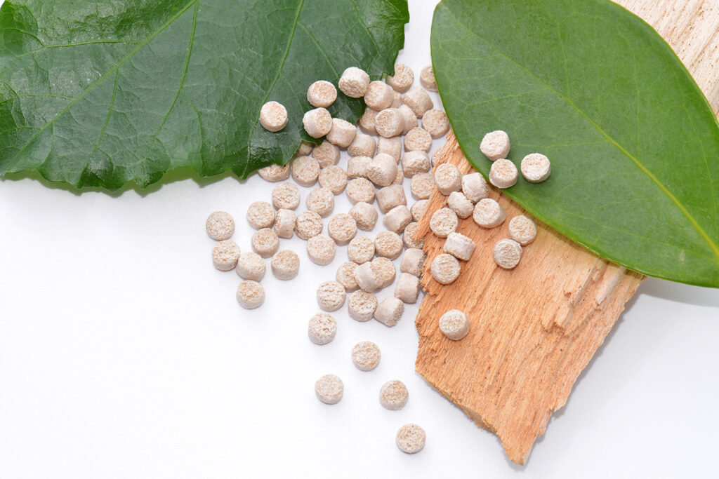 Biopolymere im Fokus